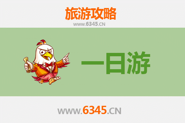 中卫中宁一日游全攻略：沙漠奇观与枸杞之乡的完美邂逅