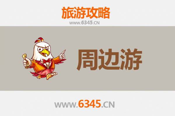 中卫中宁周边游全攻略：沙漠奇观与枸杞之乡的完美邂逅