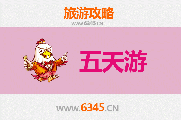 中卫中宁五天四夜深度游攻略：沙漠奇观与枸杞之乡的完美之旅