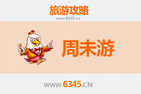 中卫中宁周末游攻略：沙漠奇遇与枸杞之乡的悠闲时光