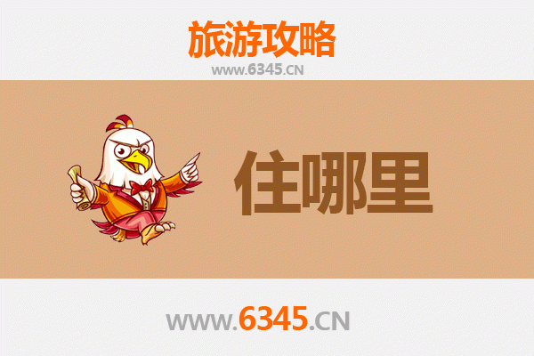 中卫中宁民宿全攻略：沙漠星空与枸杞乡的别样体验