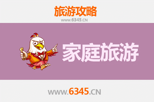 中卫中宁家庭亲子游：沙漠星河与枸杞之乡的奇妙之旅